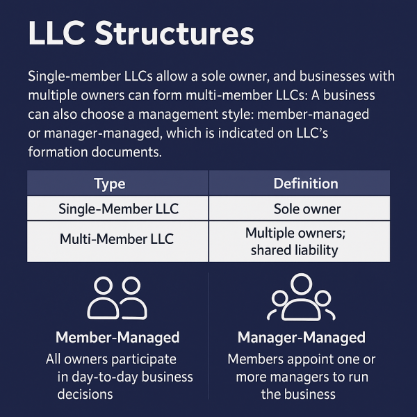 LLC Structure Info